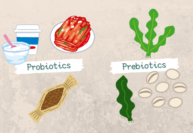 Probiotics　 Prebiotics